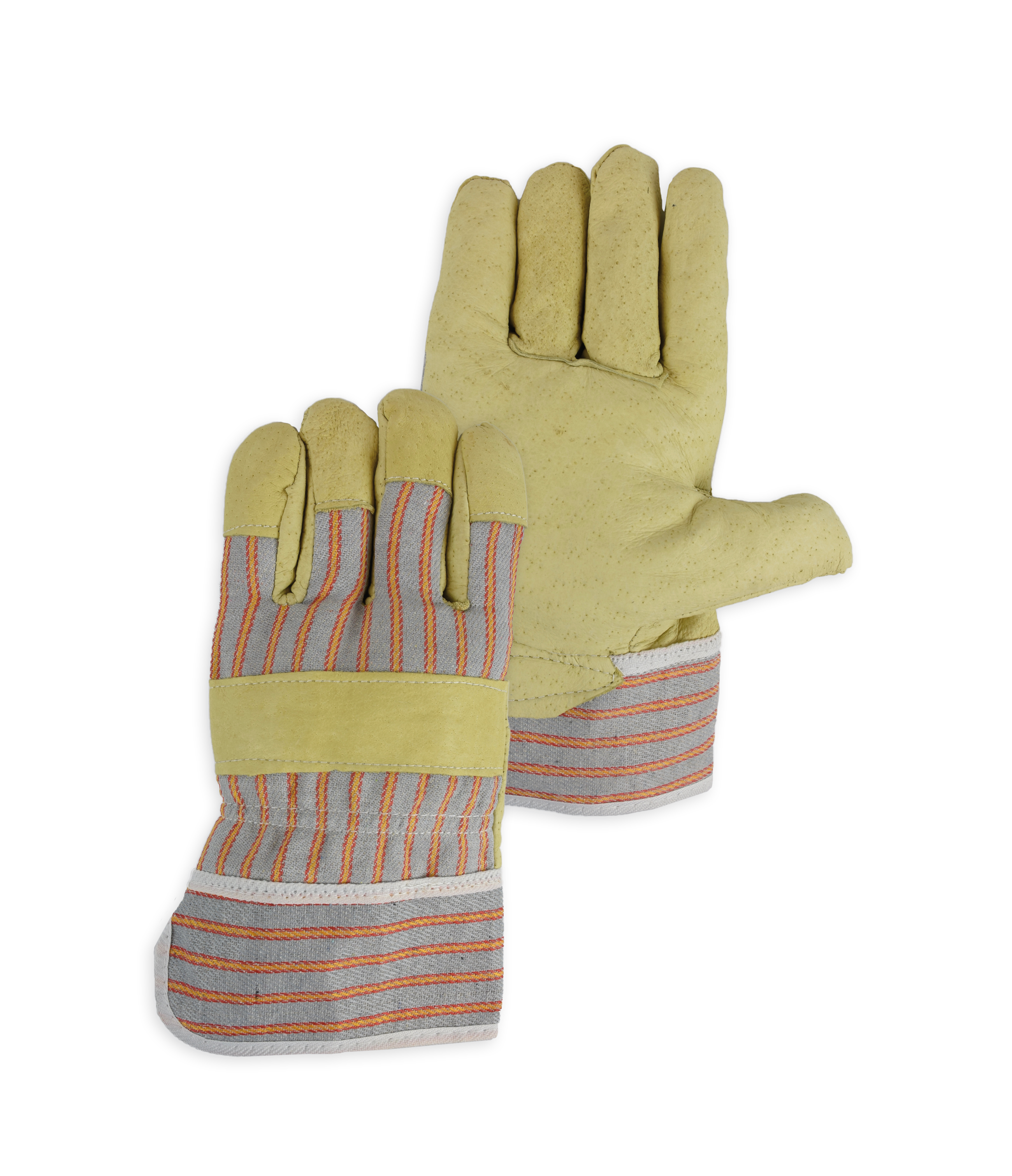 PSP 34-700 Corium Canadian Pig Grain, 10