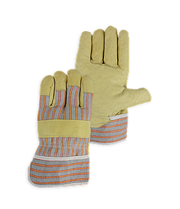 PSP 34-700 Corium Canadian Pig Grain, 10